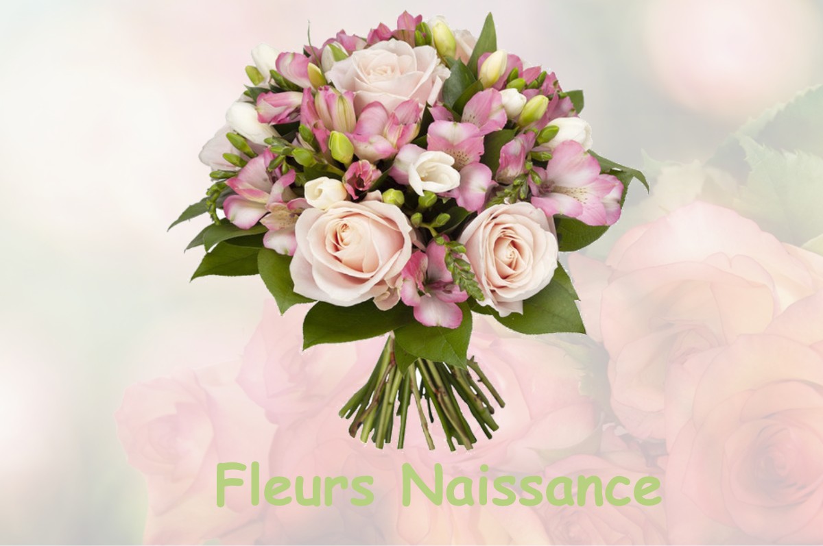 fleurs naissance JOUET-SUR-L-AUBOIS