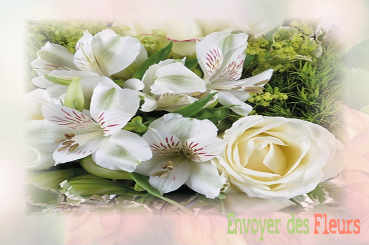 envoyer des fleurs à à JOUET-SUR-L-AUBOIS